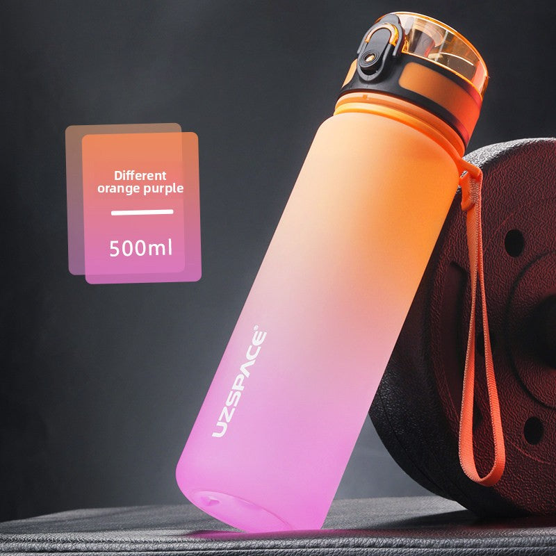TRITAN Leak Proof Sports Water Bottle with Tea Infuser